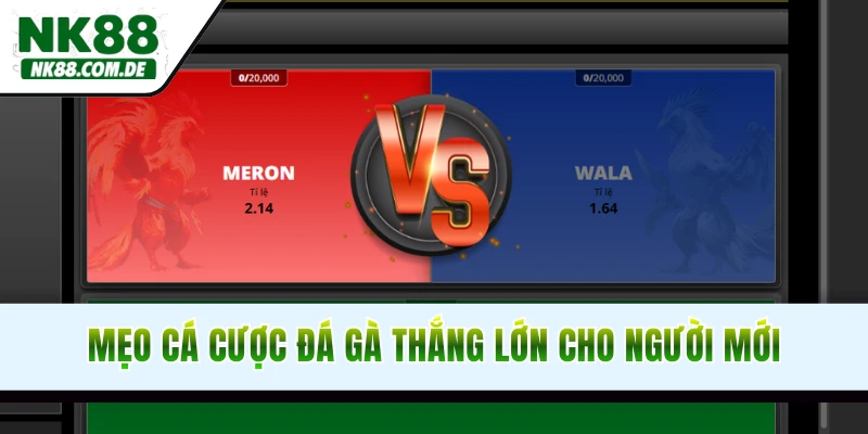 Mẹo cá cược đá gà NK88 thắng lớn cho người mới